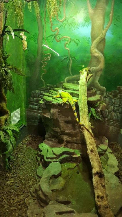 WhatsApp Image 2018-02-17 at 21.35.54.jpeg