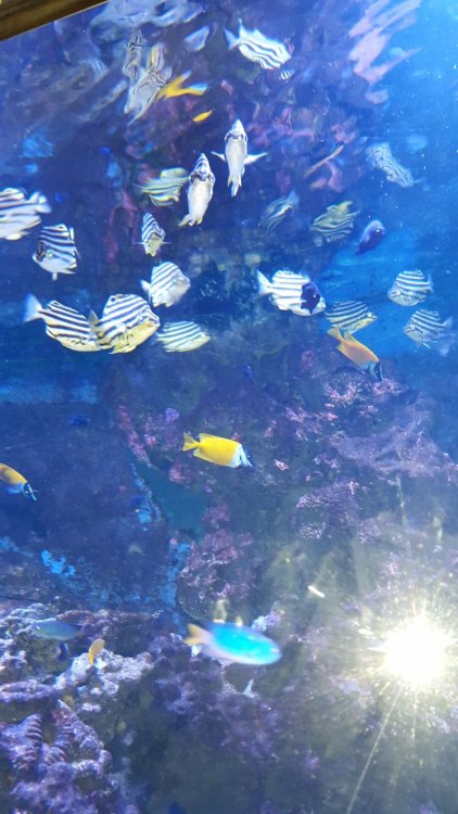 WhatsApp Image 2018-02-17 at 21.35.58.jpeg