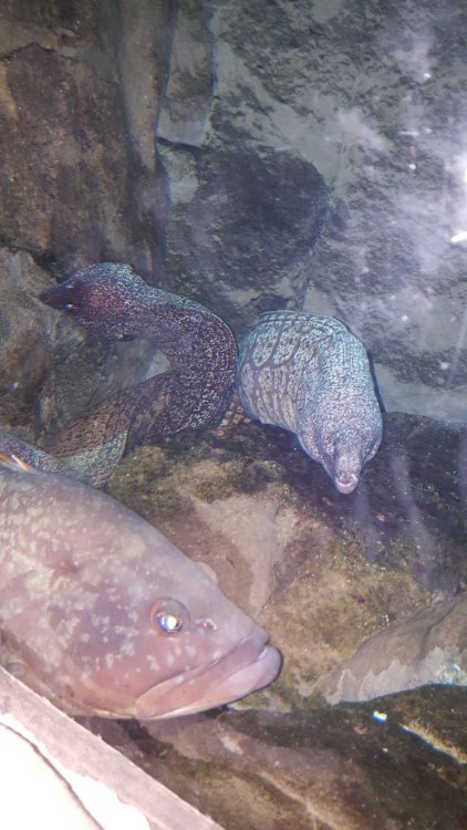 WhatsApp Image 2018-02-17 at 21.37.29.jpeg