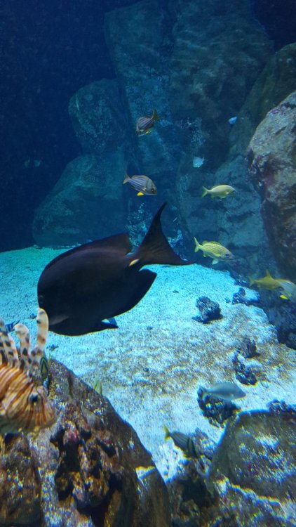 WhatsApp Image 2018-02-17 at 21.41.15(2).jpeg