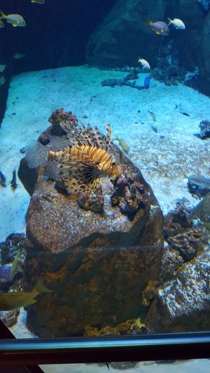 WhatsApp Image 2018-02-17 at 21.41.16(2).jpeg