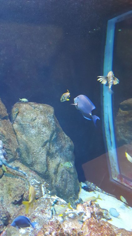 WhatsApp Image 2018-02-17 at 21.41.17(1).jpeg