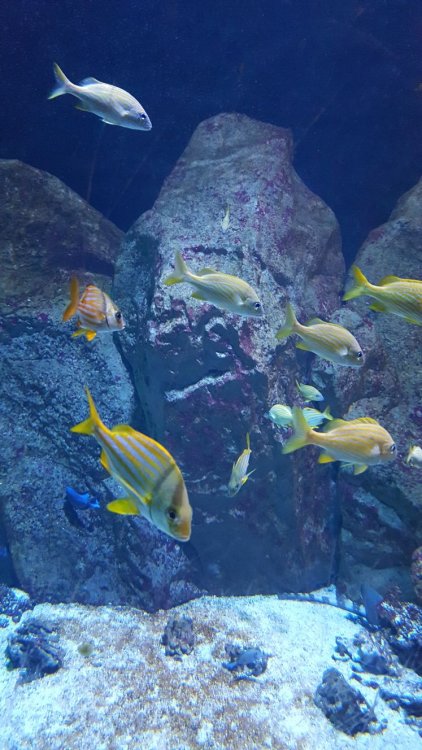 WhatsApp Image 2018-02-17 at 21.41.18(1).jpeg