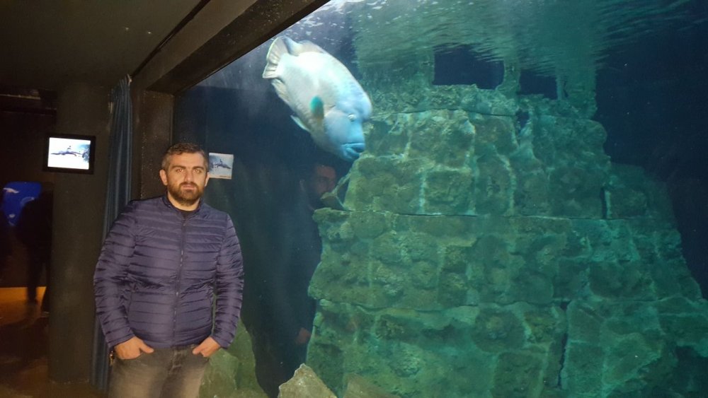 WhatsApp Image 2018-02-17 at 21.38.31(1).jpeg