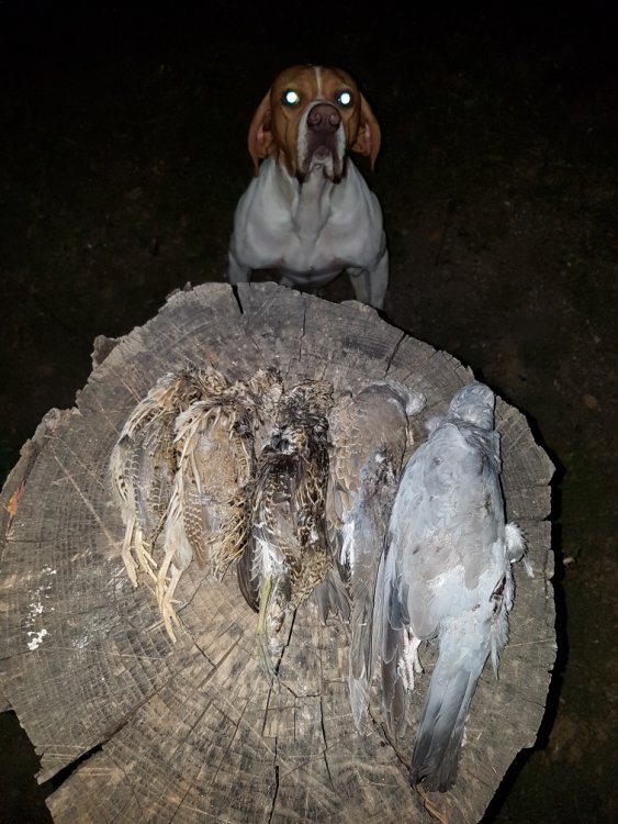 20170820_215506 (2).jpg